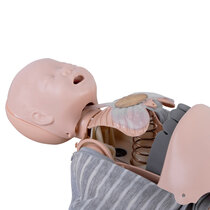 Manikin faces and airways are easy to replace to maintain good hygiene